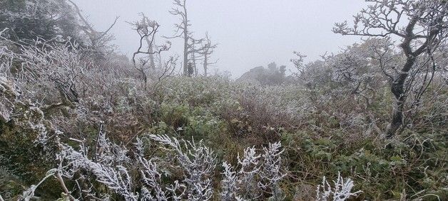 '덕유산 설천봉에 핀 상고대'