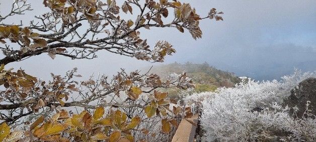 '덕유산 향덕봉 대피소에 활짝 핀 상고대'