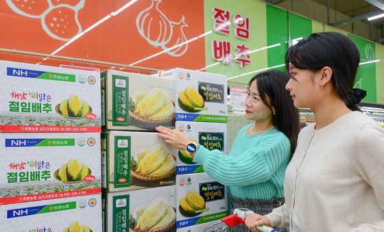 하나로마트, 김장 절임 배추 사전 예약 행사