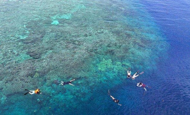 '세계 3대 다이빙 성지' 마나도 부나켄 국립공원