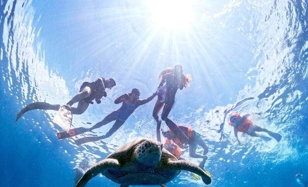 '세계 다이빙 3대 성지' 마나도 부나켄 국립공원