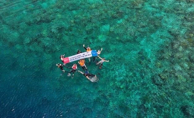 '아름다운 산호 위에서 찰칵'