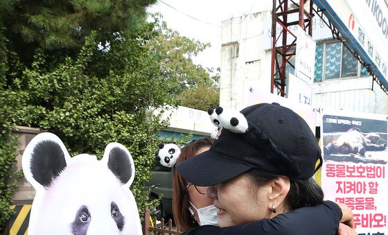 '푸바오를 구해줘'