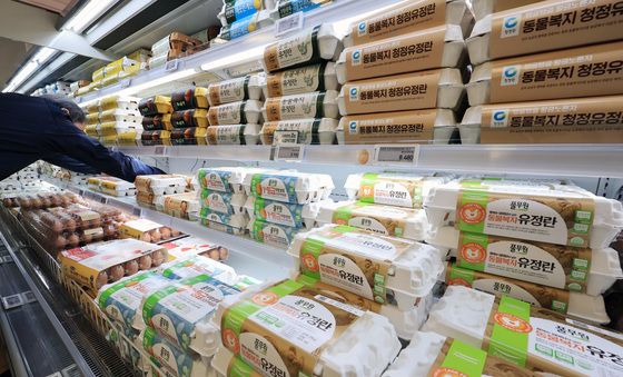 물가상승, 달걀도 비싸졌다