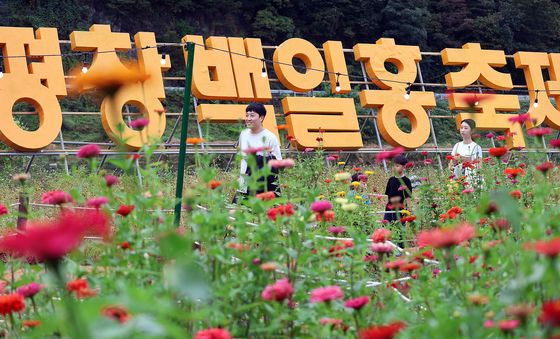 백일홍과 함께 연휴 즐기는 시민들