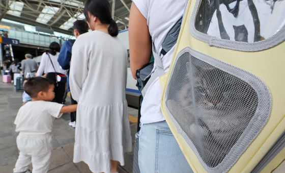 '반려묘도 귀경'