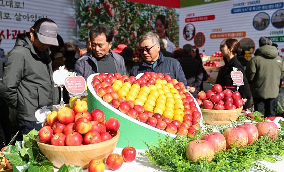 눈길 끄는 사과