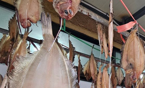 꾸덕 꾸덕 말라가는 물가지미