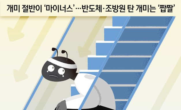 [오늘의 그래픽]개미 절반이 '마이너스'…반도체·조방원 탄 개미는 '짭짤'