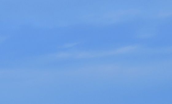 높고 푸른 가을 하늘