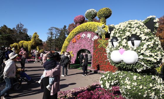 파란하늘 아래 형형색색 국화