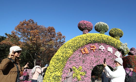 파란하늘 아래 형형색색 국화