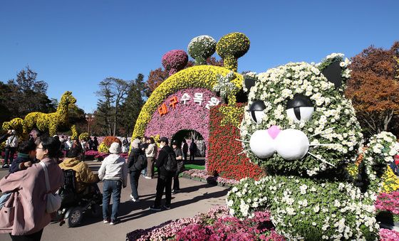 국화향 가득한 대구수목원
