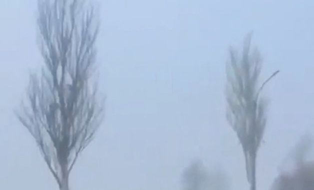 [포토] 우크라 포크로우스크로 진입하는 러시아군