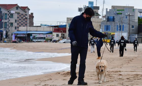 포항 해안에 투입된 관세청 마약 탐지견