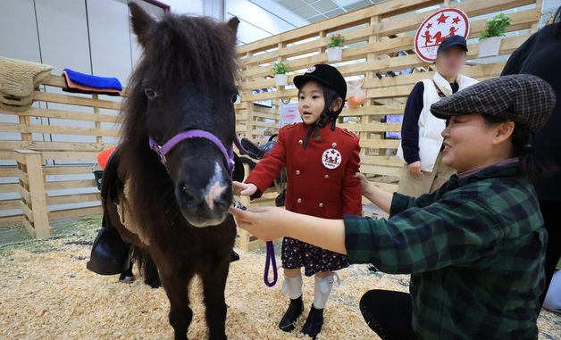 신나는 승마체험