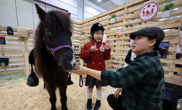 신나는 승마체험