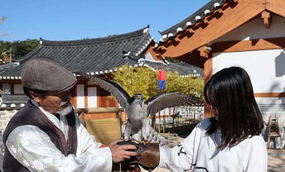 대전문화재단 매 사냥 프로그램