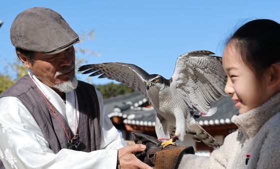 매 사냥 체험하는 어린이
