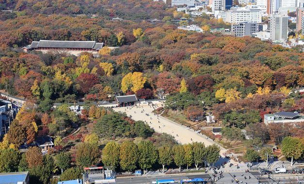 종묘 주변의 미래는?