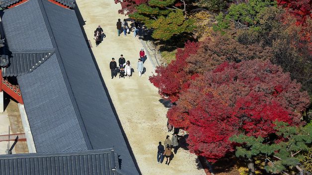 덕수궁, 울긋불긋 단풍의 향연