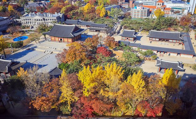 덕수궁, 울긋불긋 단풍의 향연