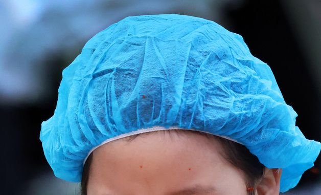 '제8회 평창고랭지김장축제' 김장 체험에 열중하는 어린이