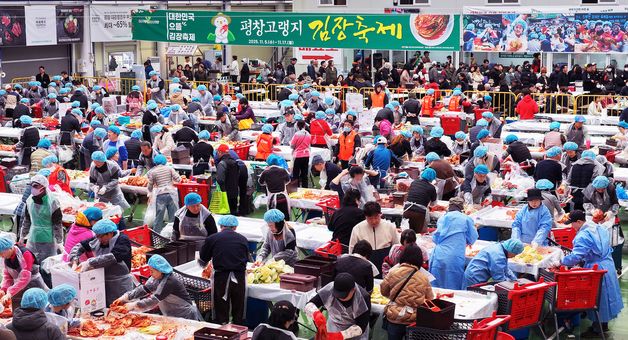 '제 8회 평창고랭지김장축제'