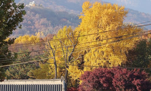 주말 맞아 관람객들로 붐비는 종묘