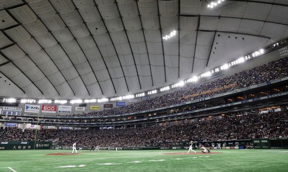 도쿄돔에서 펼쳐진 한일전