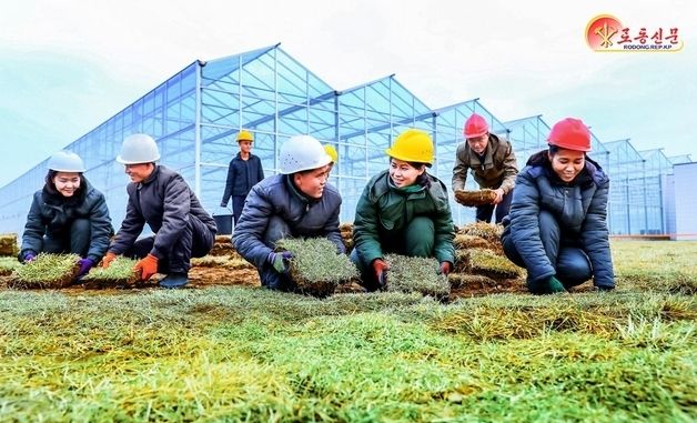 北 "수백정보 달하는 잔디심기 결속단계"…신의주 온실종합농장건설장 조명