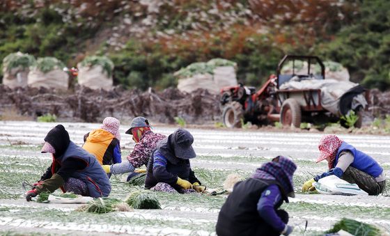 더 추워지기 전에