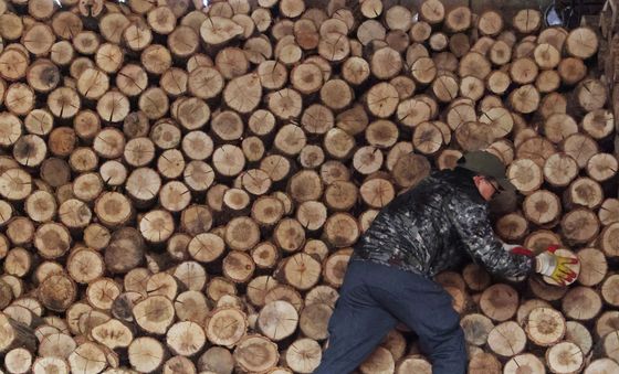 본격적인 겨울철 앞두고 분주한 장작공장