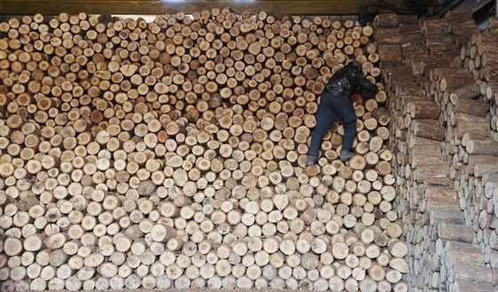 본격적인 겨울철 앞두고 분주한 장작공장