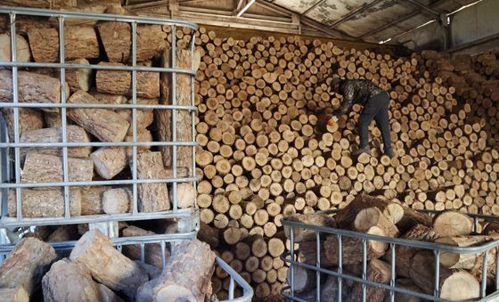 겨울 성수기 맞은 장작공장