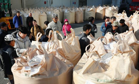 날씨는 쌀쌀, 올해 쌀농사 성적은?