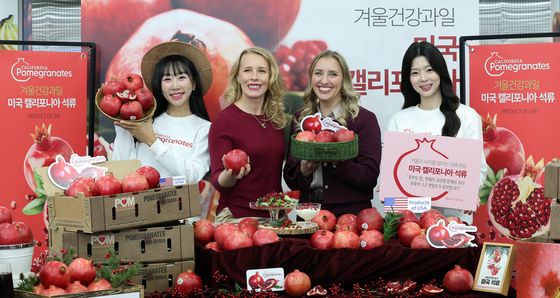 겨울에 건강한 과일 '석류'