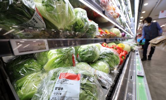 공급 부족한 양상추