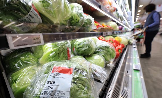 양상추 공급 부족