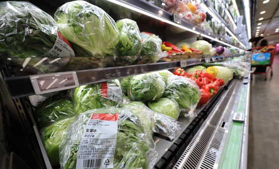 물량 부족한 양상추