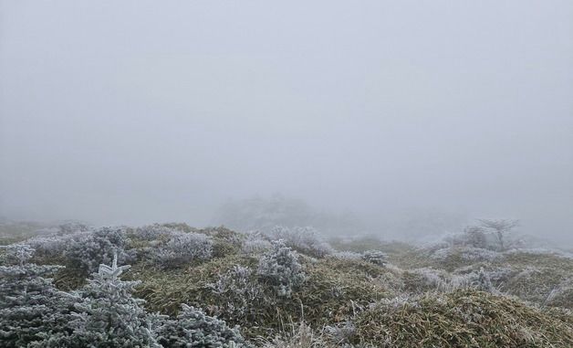 '첫눈' 내린 제주 한라산