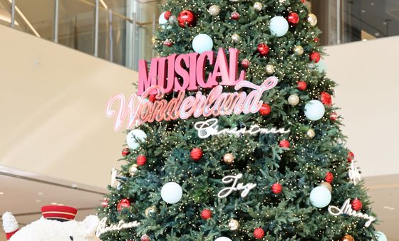 대전신세계 크리스마스 트리 설치