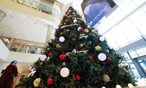 시선 사로잡는 크리스마스 트리