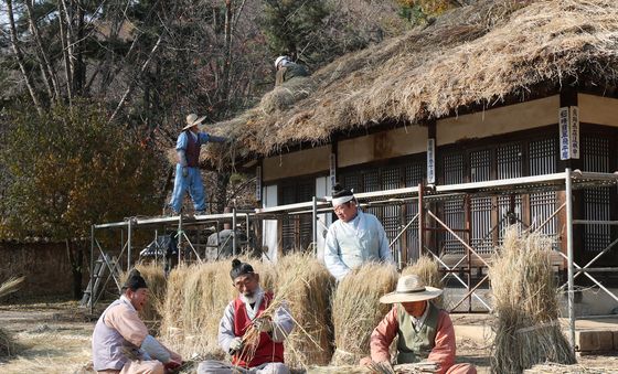 초가지붕 이엉 잇기 작업