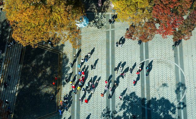 단풍 옷으로 갈아입은 남산