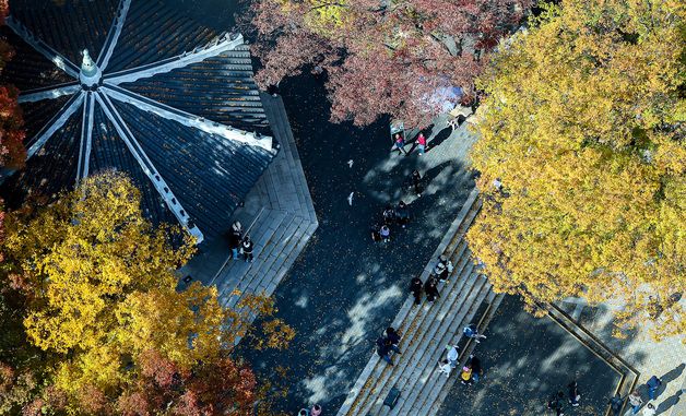 남산에서 느끼는 가을의 정취