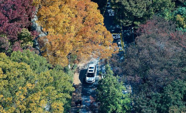 단풍 옷으로 갈아입은 남산