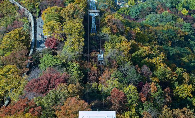 '알록달록 단풍의 바다를 지나'