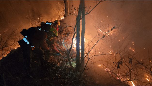 양양 산불 진화하는 소방대원들