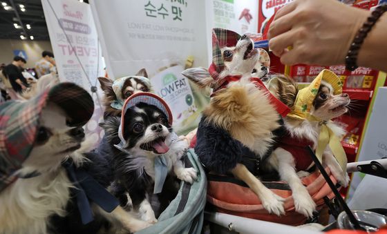 간식에 쏠린 눈